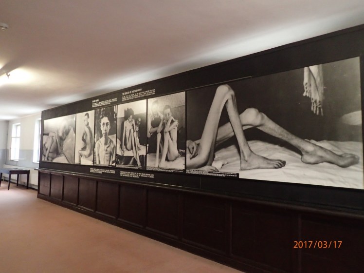 Auschwitz5