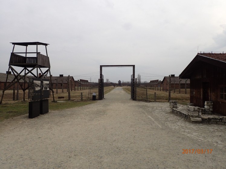 Auschwitz7